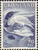Common Loon (Gavia immer), Common Raven (Corvus corax)