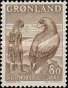 White-tailed Eagle (Haliaeetus albicilla)