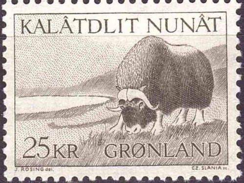 Muskox (Ovibos moschatus)