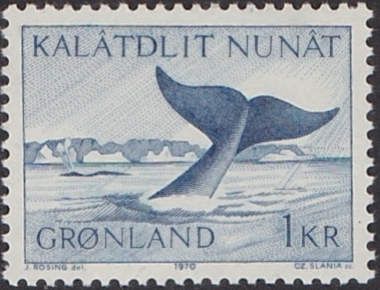 Bowhead Whale (Balaena mysticetus)