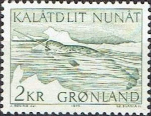 Narwhal (Monodon monoceros)