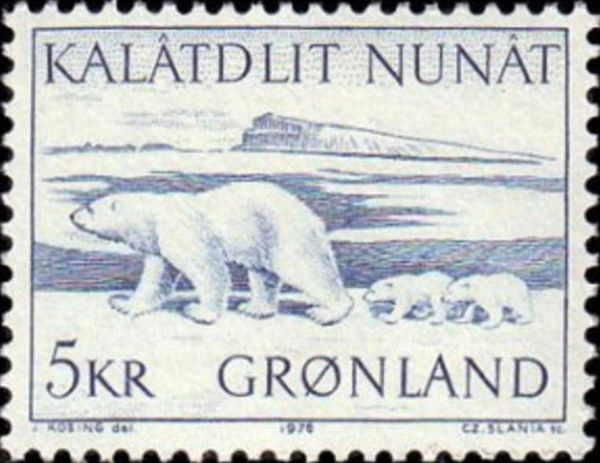Polar Bear (Ursus maritimus)