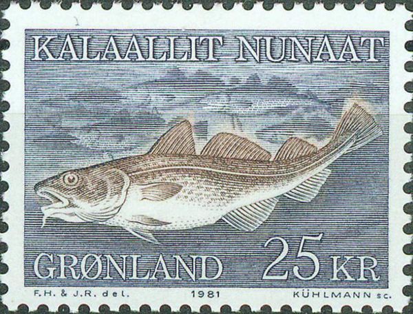 Atlantic Cod (Gadus morhua)