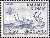 Reindeer (Rangifer tarandus)