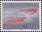 Northern Prawn (Pandalus borealis)