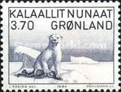 Polar Bear (Ursus maritimus)