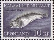 Spotted Wolffish (Anarhichas minor)