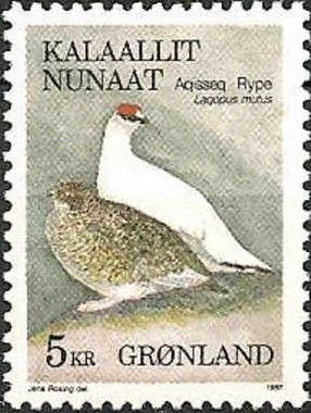 Rock Ptarmigan (Lagopus mutus) 