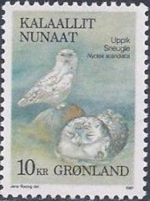 Snowy Owl (Nyctea scandiaca)