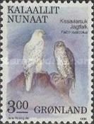 Gyrfalcon (Falco rusticolus)