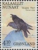 Common Raven (Corvus corax)