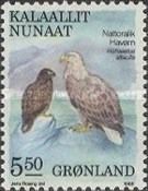 White-tailed Eagle (Haliaeetus albicilla)
