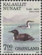 Common Loon (Gavia immer)