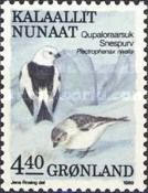 Snow Bunting (Plectrophenax nivalis)