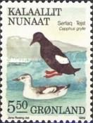 Black Guillemot (Cepphus grylle)