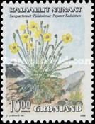 Arctic Poppy (Papaver radicatum)