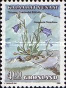 Campanula gieseckiana