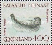 Ringed Seal (Phoca hispida)