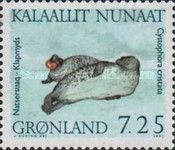 Hooded Seal (Cystophora cristata)