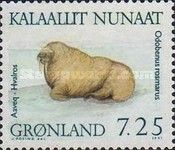 Walrus (Odobenus rosmarus)