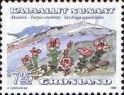 Saxifraga oppositifolia