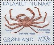 Snow Crab (Chionoecetes opilio)