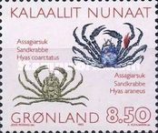 Arctic Lyre Crab (Hyas coarctatus), Great Spider Crab (Hyas