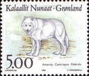 Wolf (Canis lupus)