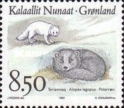 Arctic Fox (Alopex lagopus)