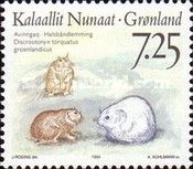 Nearctic Collared Lemming (Dicrostonyx groenlandicus)
