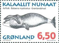 Bowhead Whale (Balaena mysticetus)