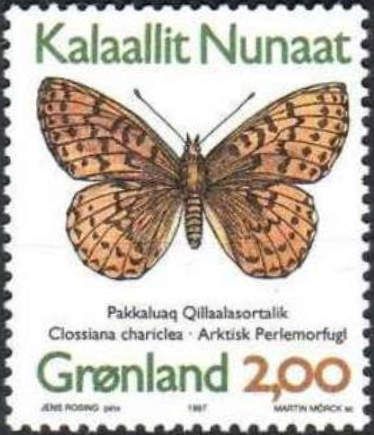 Arctic Fritillary (Clossiana chariclea)