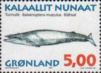 Blue Whale (Balaenoptera musculus)