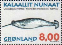 Narwhale (Monodon monoceros)