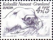 Polar Bear (Ursus maritimus) - Head