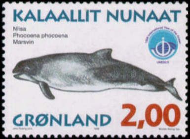 Harbour Porpoise (Phocoena phocoena)