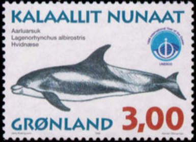 White-beaked Dolphin (Lagenorhynchus albirostris)