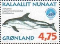Atlantic White-sided Dolphin (Lagenorhynchus acutus)