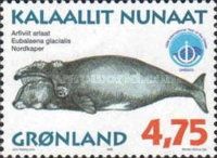 North Atlantic Right Whale (Eubalaena glacialis)