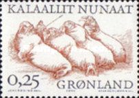 Walrus (Odobenus rosmarus) Hunting