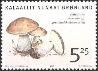 Edible fungi in Greenland