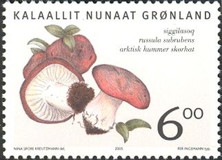 Edible fungi in Greenland