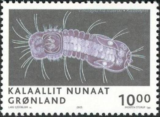 Platyzoan Animal (Limnognathia maerski)