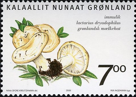 Edible fungi in Greenland (Lactarius dryadophilus)