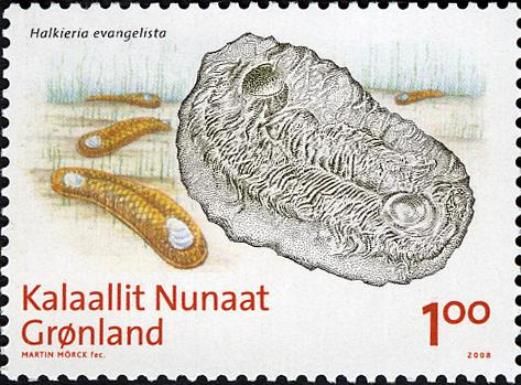 Fossils in Greenland