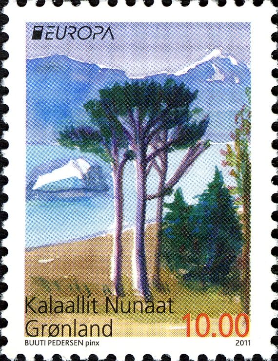 Forest in summer - Scots pine Tree