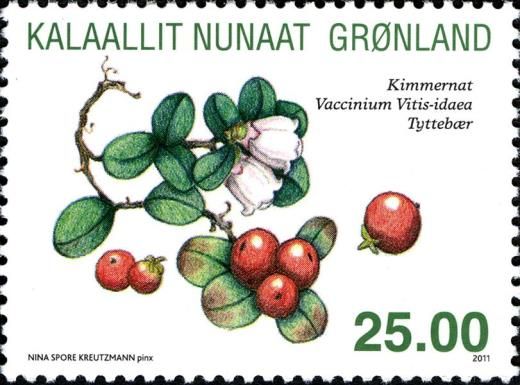 Lingonberry (Vaccinium vitis-idaea)