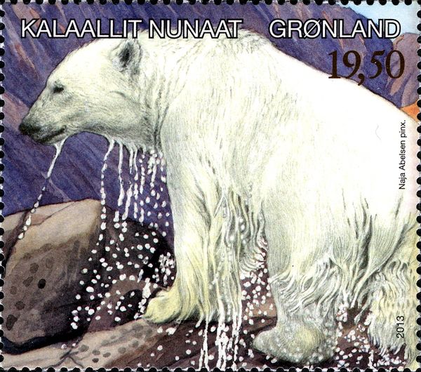 Polar Bear (Ursus maritimus)