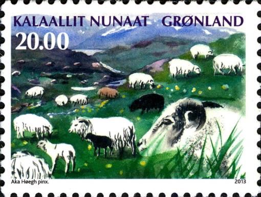 Domestic Sheep (Ovis ammon aries)