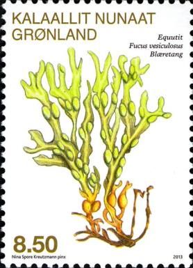 Bladder Wrack (Fucus vesiculosus)